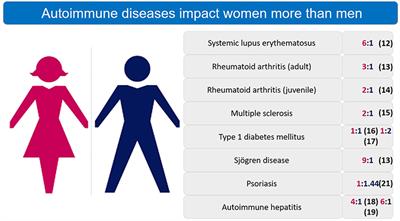 Autoimmune Disease in Women: Endocrine Transition and Risk Across the Lifespan